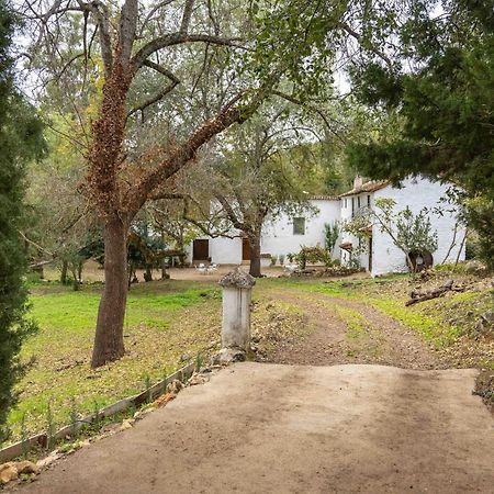 Molino De Gris Cazorla Villa Chilluevar Dış mekan fotoğraf