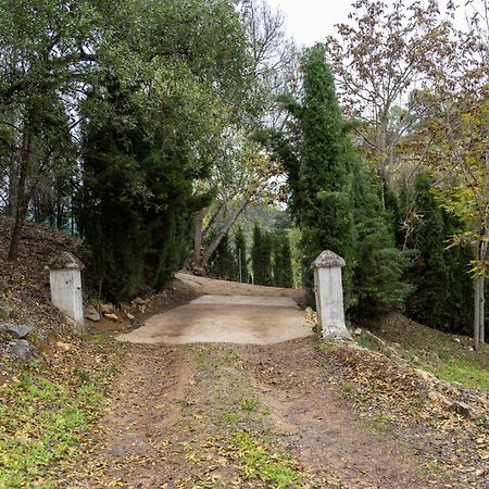 Molino De Gris Cazorla Villa Chilluevar Dış mekan fotoğraf