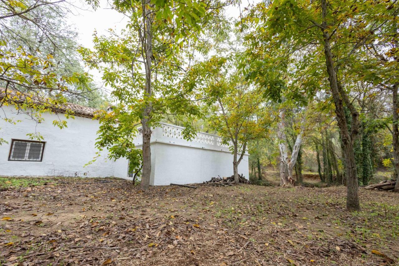 Molino De Gris Cazorla Villa Chilluevar Dış mekan fotoğraf