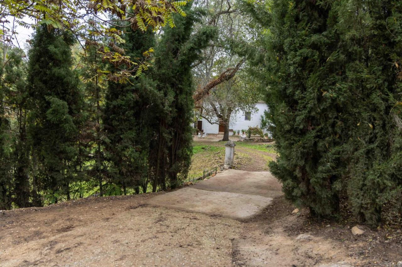 Molino De Gris Cazorla Villa Chilluevar Dış mekan fotoğraf