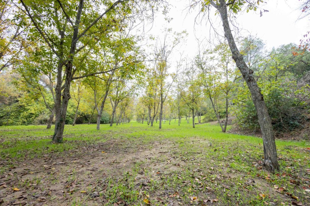 Molino De Gris Cazorla Villa Chilluevar Dış mekan fotoğraf